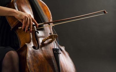 Programma Dordt in Cello 2019 compleet